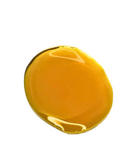 Rosehip Oil (Rosa Canina)